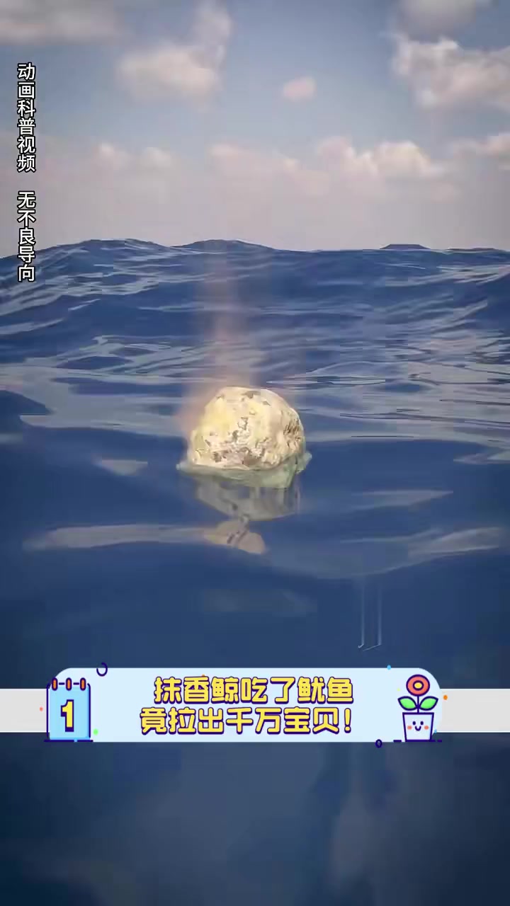 抹香鲸吃了鱿鱼,竟拉出千万宝贝!
