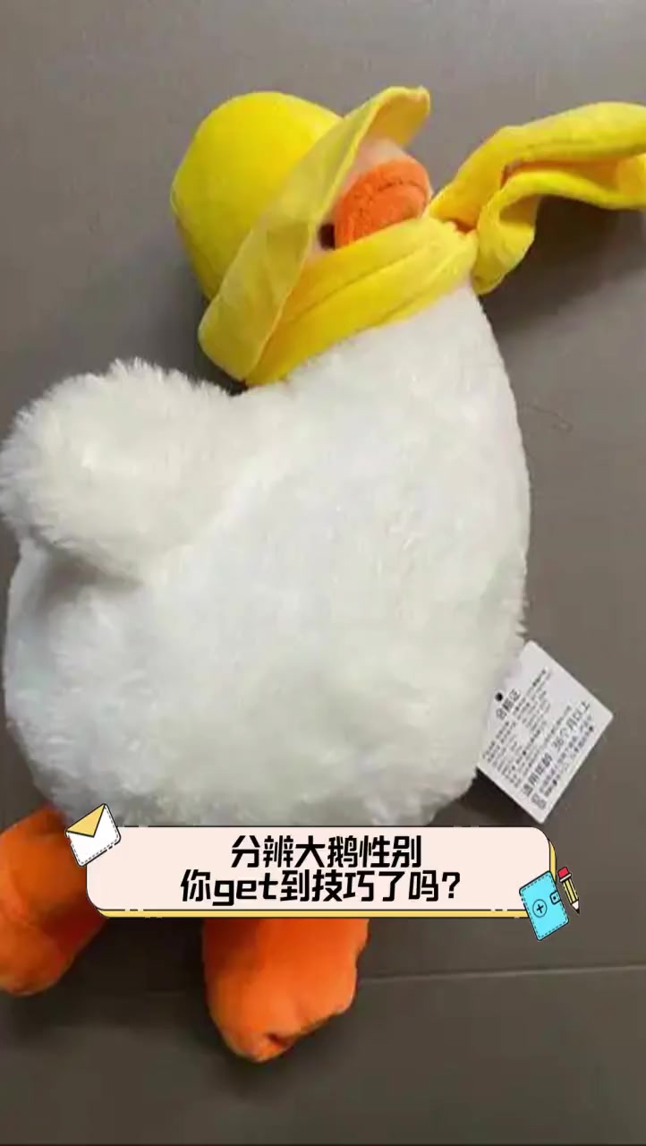 分辨大鹅性别,你get到技巧了吗?