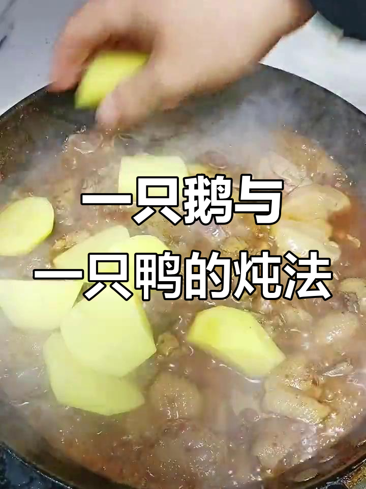 鹅鸭大混炖,香料满满一锅端