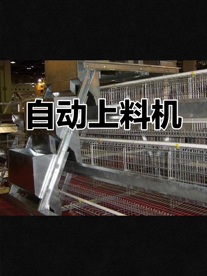 郑州自动喂料设备,高效控制饲料量