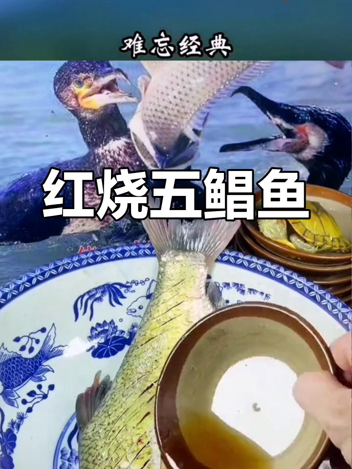 微山湖红烧五鲳鱼,鲜香浓郁的家常做法