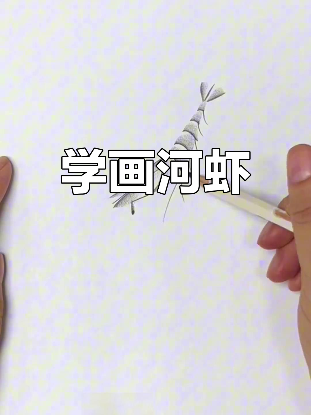 简单炭笔画河虾技巧