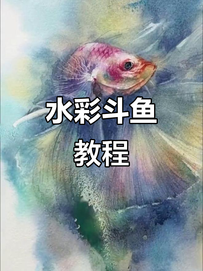 画出蓝色渐变斗鱼,春末夏初的美丽水彩