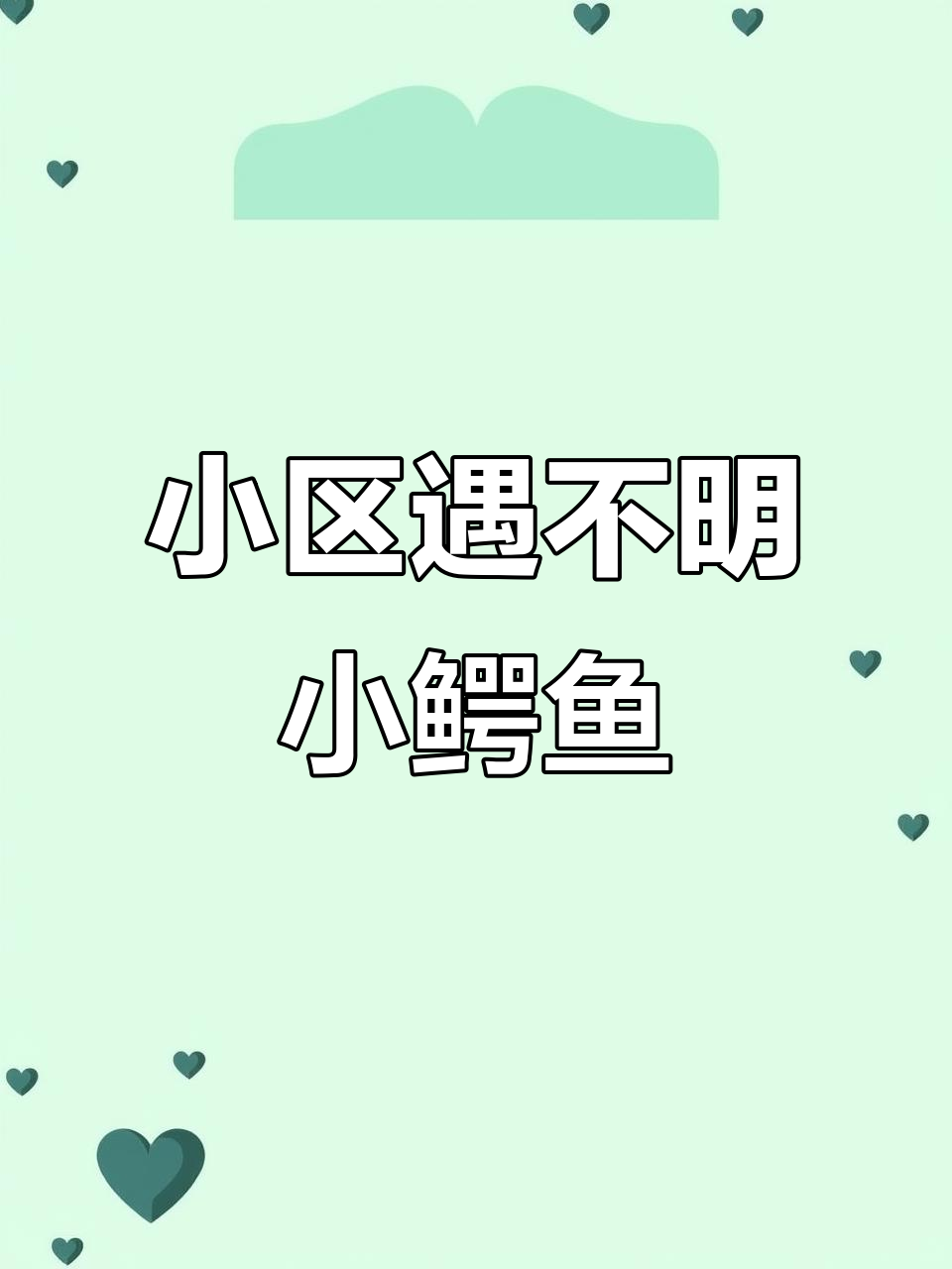 杭州小区惊现小鳄鱼,道路发现神秘生物