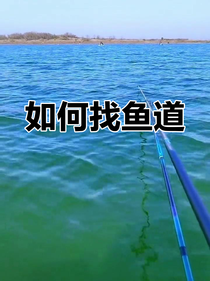 钓鱼技巧:如何找到鱼道,提升钓获