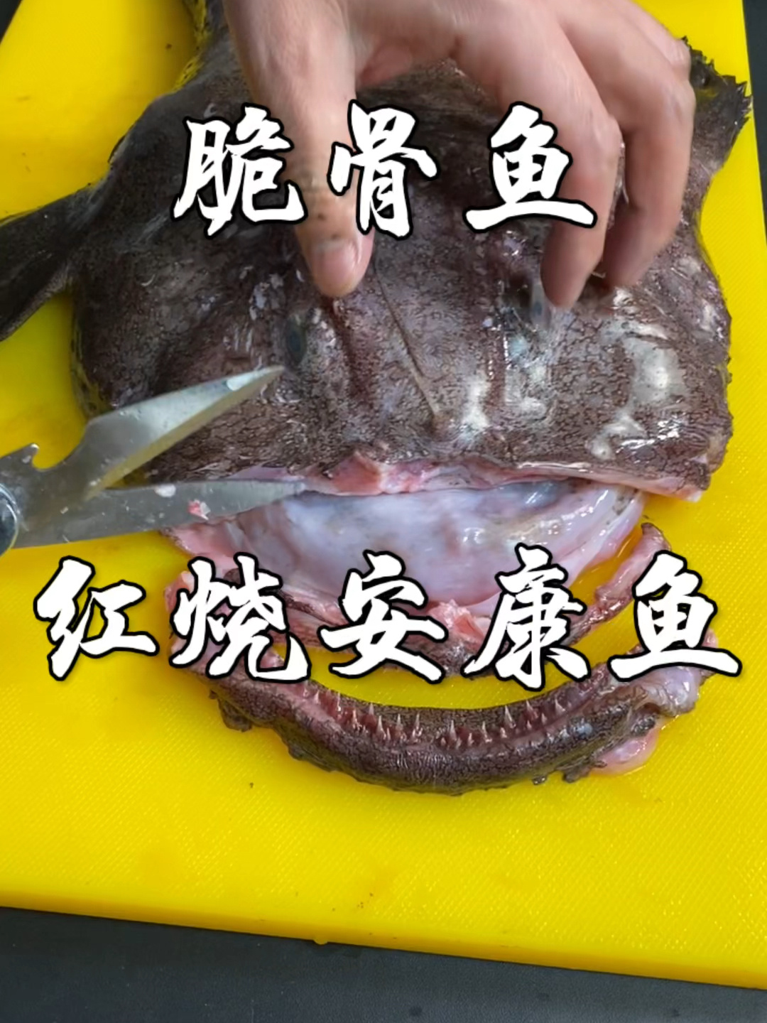 红烧安康鱼家庭版