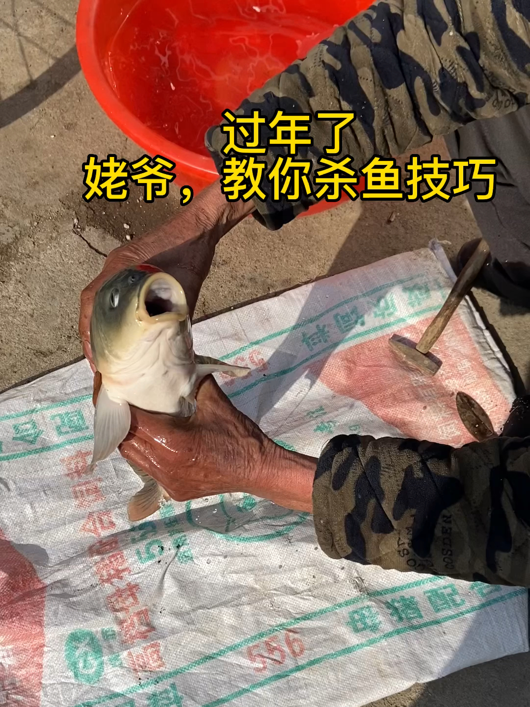过年了,姥爷教你杀鱼技巧