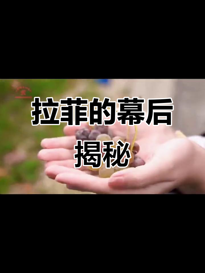 探秘波尔多传奇,拉菲罗斯柴尔德背后的故事