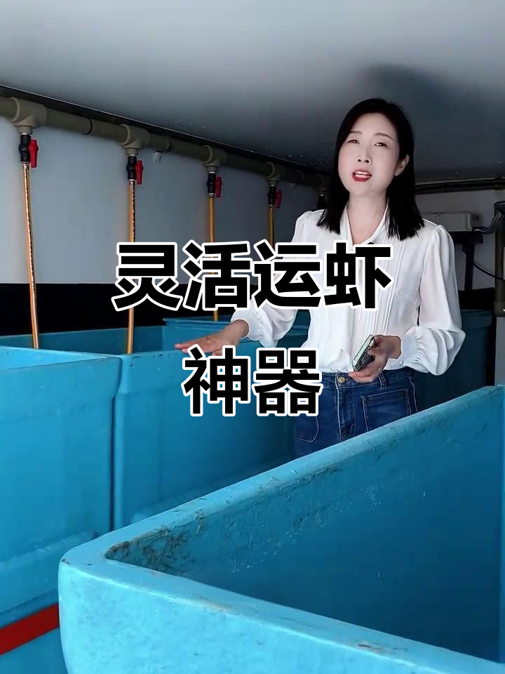 4米车厢轻松装载2000斤活虾,定制服务满足不同运输需求