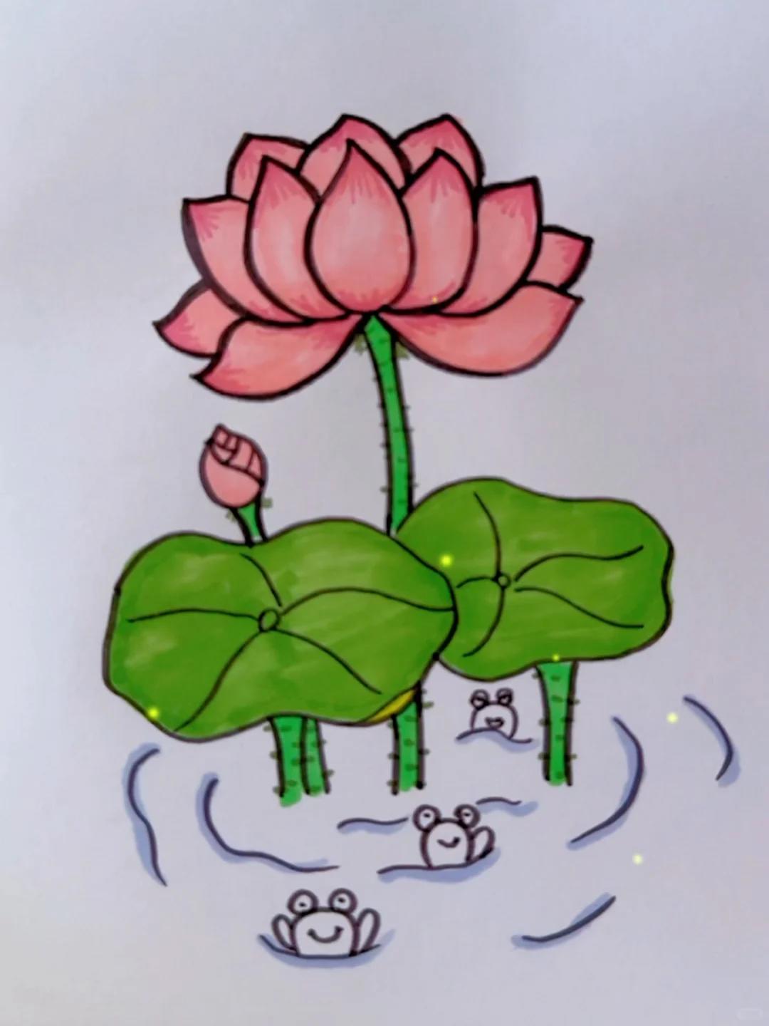 荷花简笔画