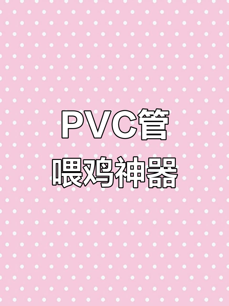4月5日,用PVC管打造懒人喂鸡装置