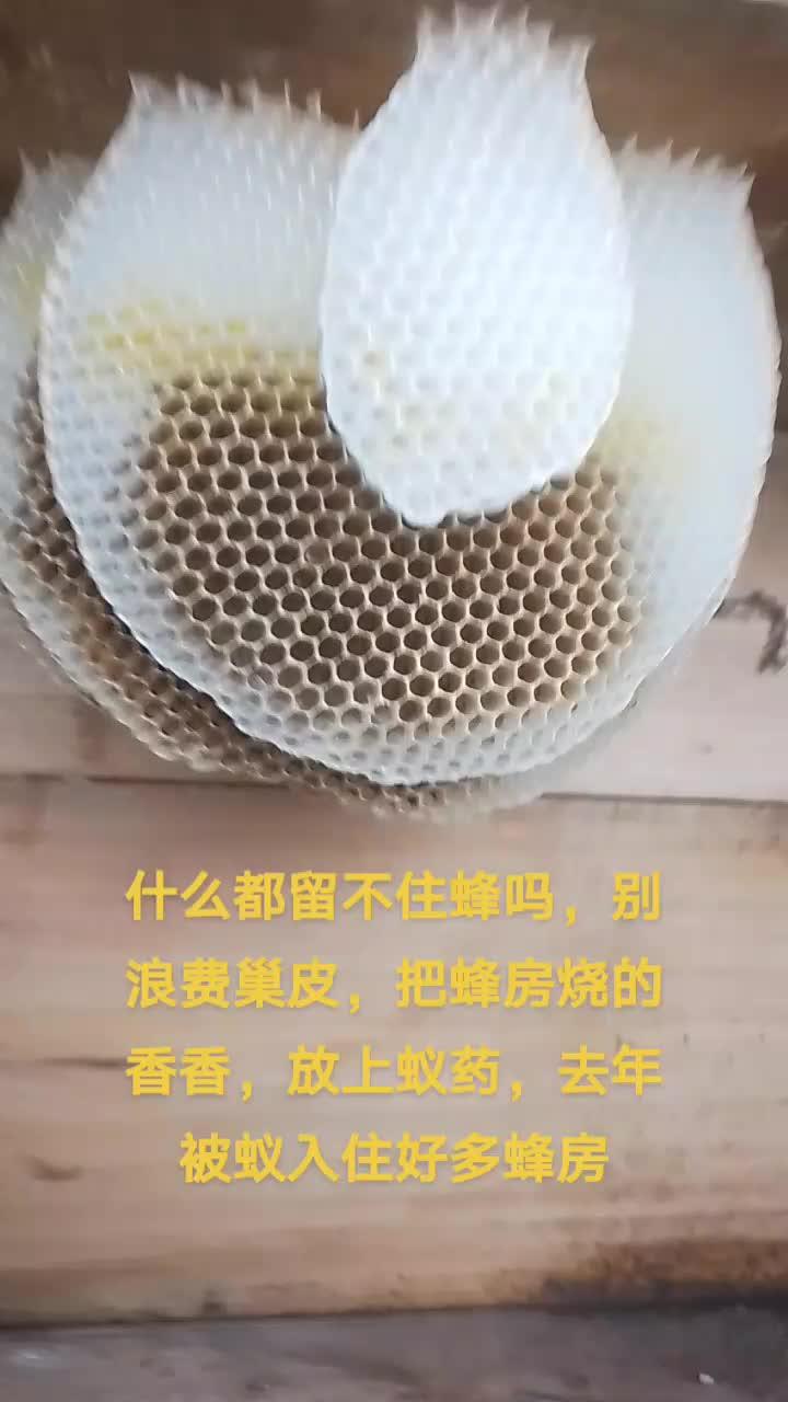 人生不容易只有靠自己才能得到你想要的东西 每天都记录我的农村真实生活日常 野生蜂蜜纯天然的