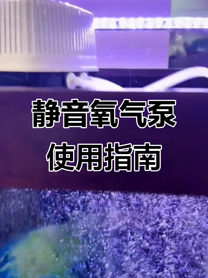静音氧气泵助力鱼缸增氧，气盘安装全攻略
