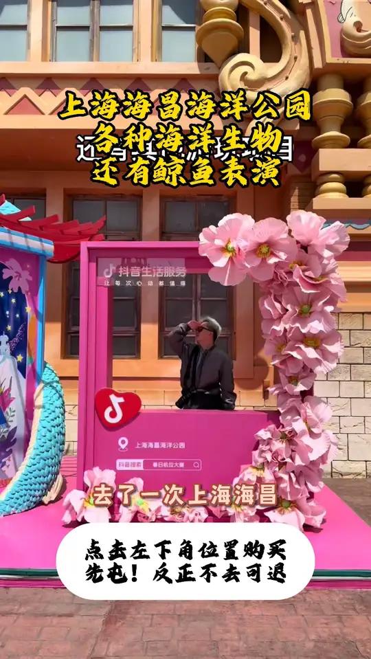 上海海昌海洋公园 随手拍都是大片,蓝色星球震撼眼球,虎鲸白鲸萌翻全场
