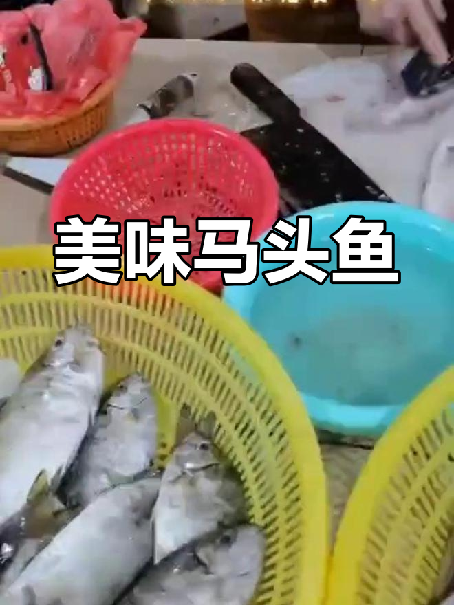 马头鱼肉质鲜美,富含蛋白质与营养,清蒸煮粥皆宜!
