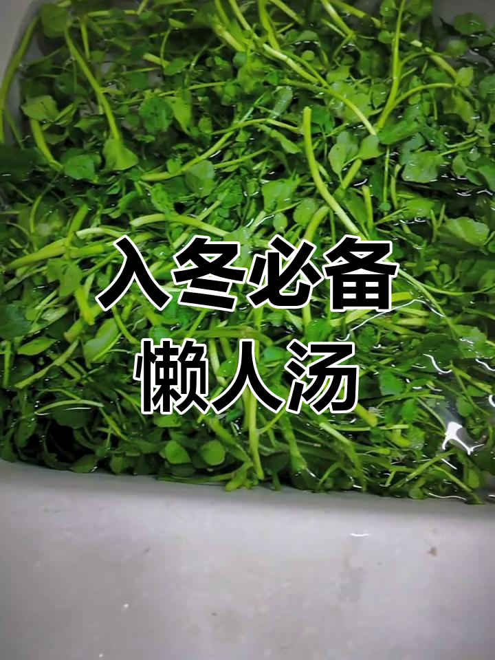 广东靓汤轻松做,入冬必试懒人煲法