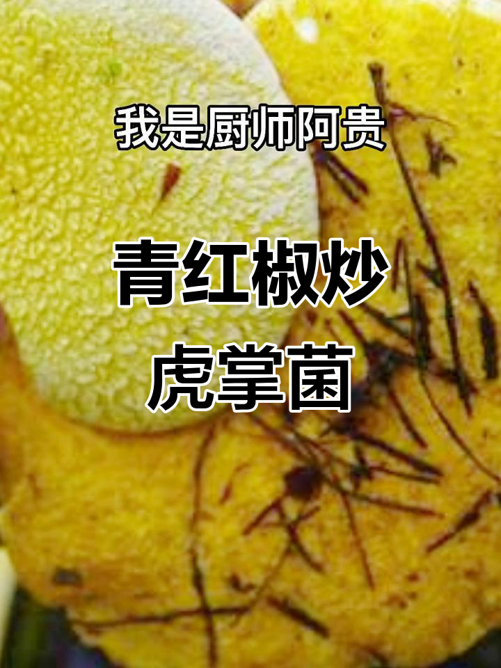 青椒虎掌菌炒菜,云南风味满满