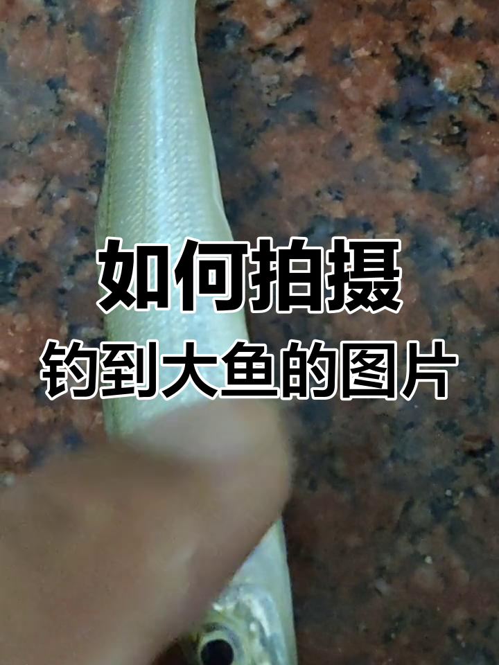 钓鱼装逼技巧大揭秘,如何拍出十几斤的大鱼照片