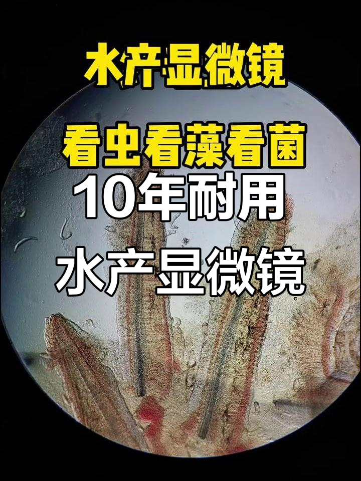 水产专用显微镜,十年不坏,轻松观察虫藻变化