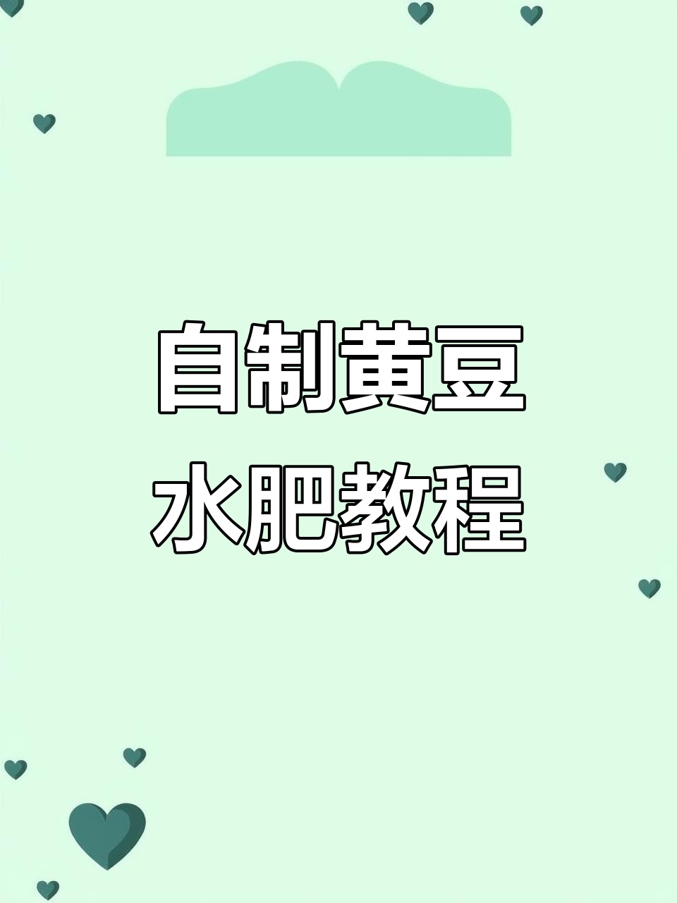 手残党也能做!自制黄豆水肥,轻松发酵成强力肥料