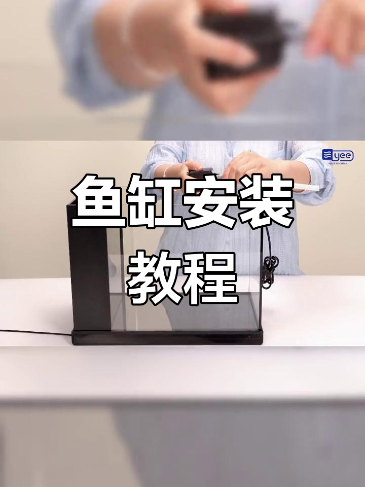 鱼缸安装全流程,轻松搞定每个步骤