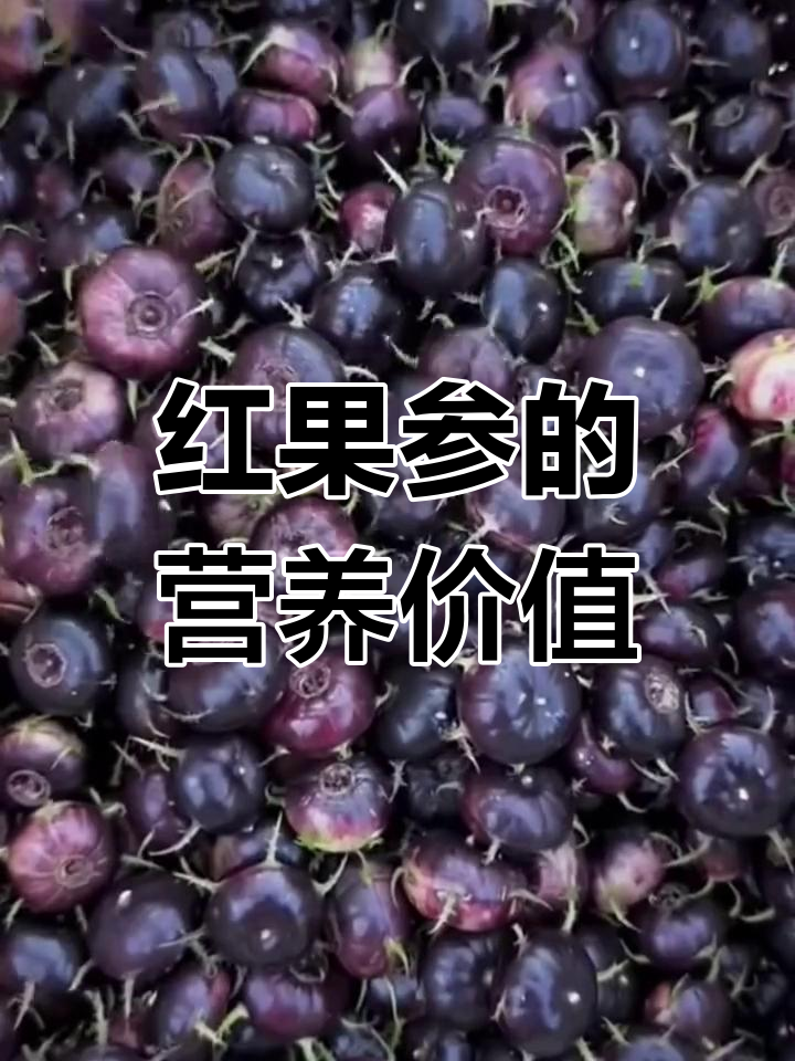 云南红果参:营养丰富的宝藏小浆果