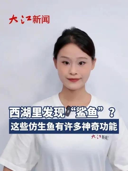 西湖里发现“鲨鱼”?这些仿生鱼有许多神奇功能 