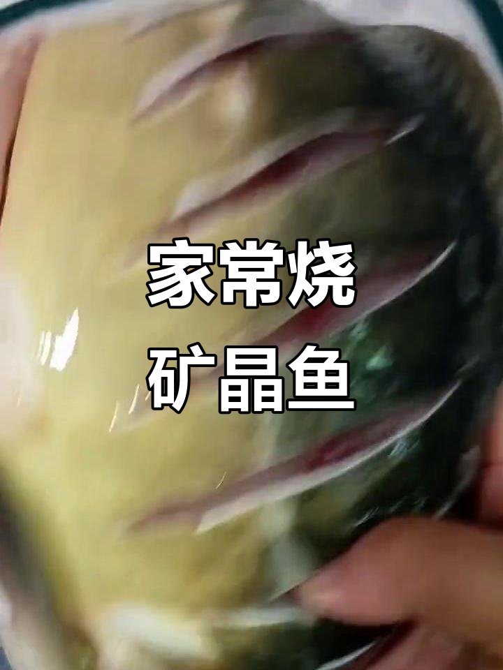 烧矿晶鱼,家常炖法大揭秘!