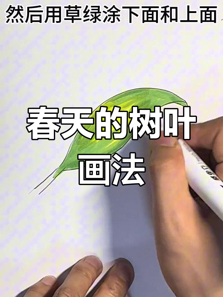 春天插画教程,轻松学会绘制叶子