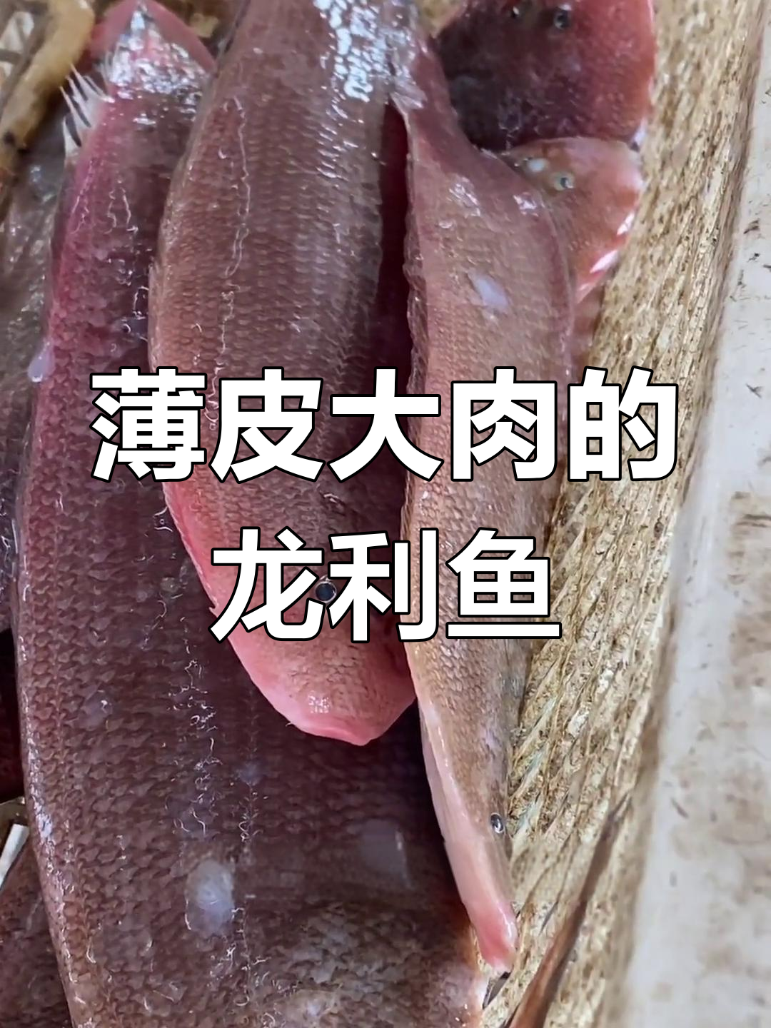 龙利鱼:肉厚刺少,野生为主