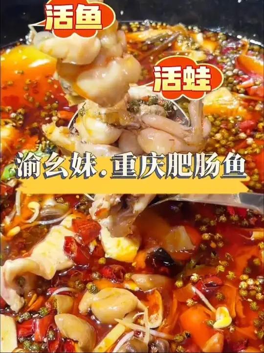 我宝藏店铺里的一家好吃的重庆肥肠鱼,琼海店