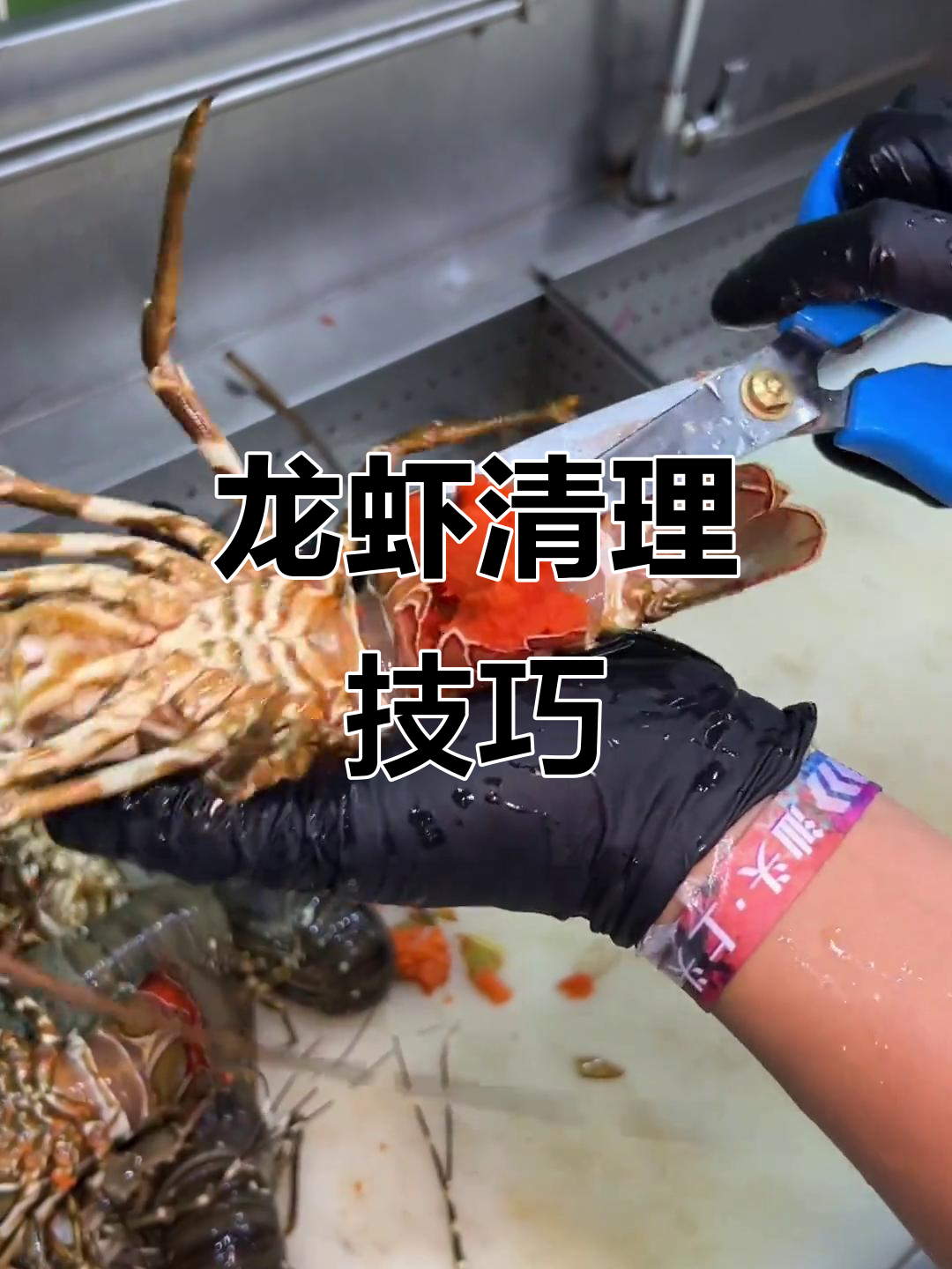 龙虾清洗全过程,活蹦乱跳的鲜美秘诀