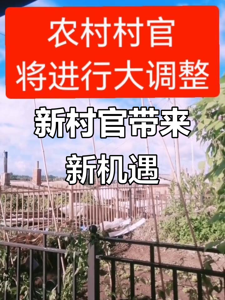 农村新领导班子大调整,企业家、大学生等精英接棒村官