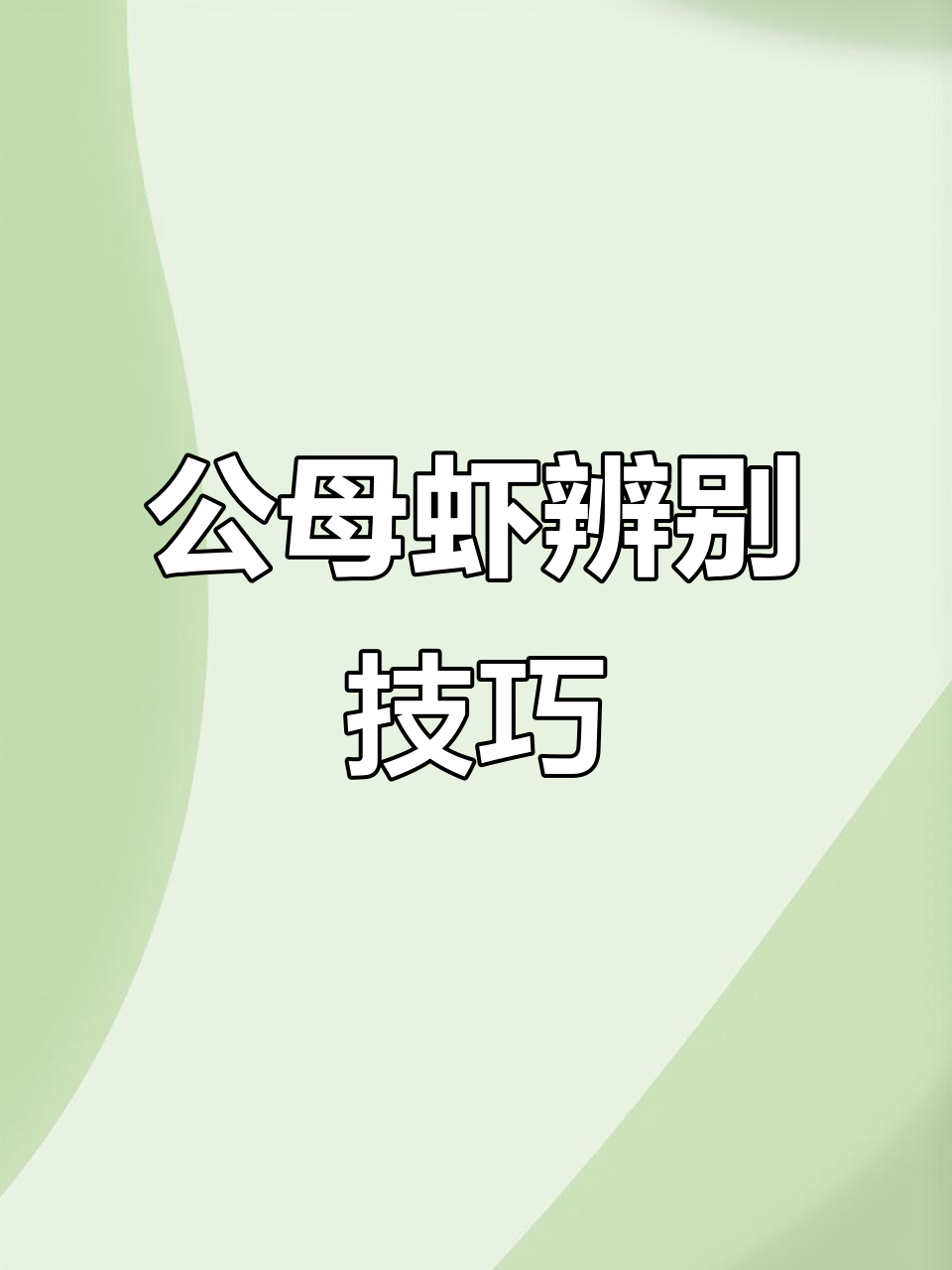 分辨公母虾，选对小青龙更美味
