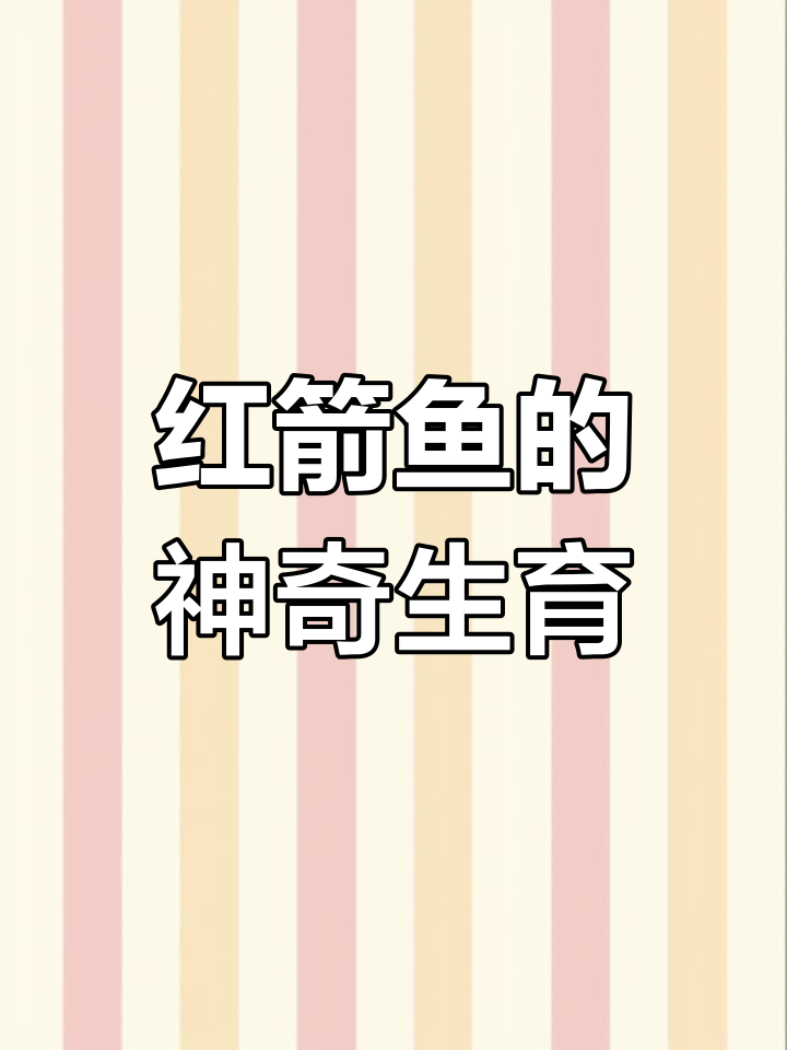 红箭鱼竟然能自体繁殖,三批小鱼苗全是母鱼生的
