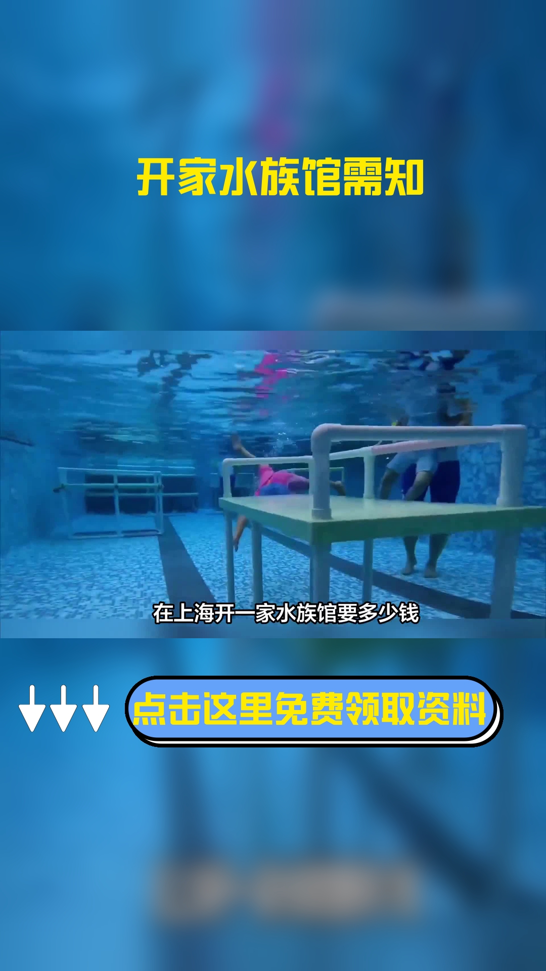 在上海开一家水族馆要多少钱,以下信息要了解!