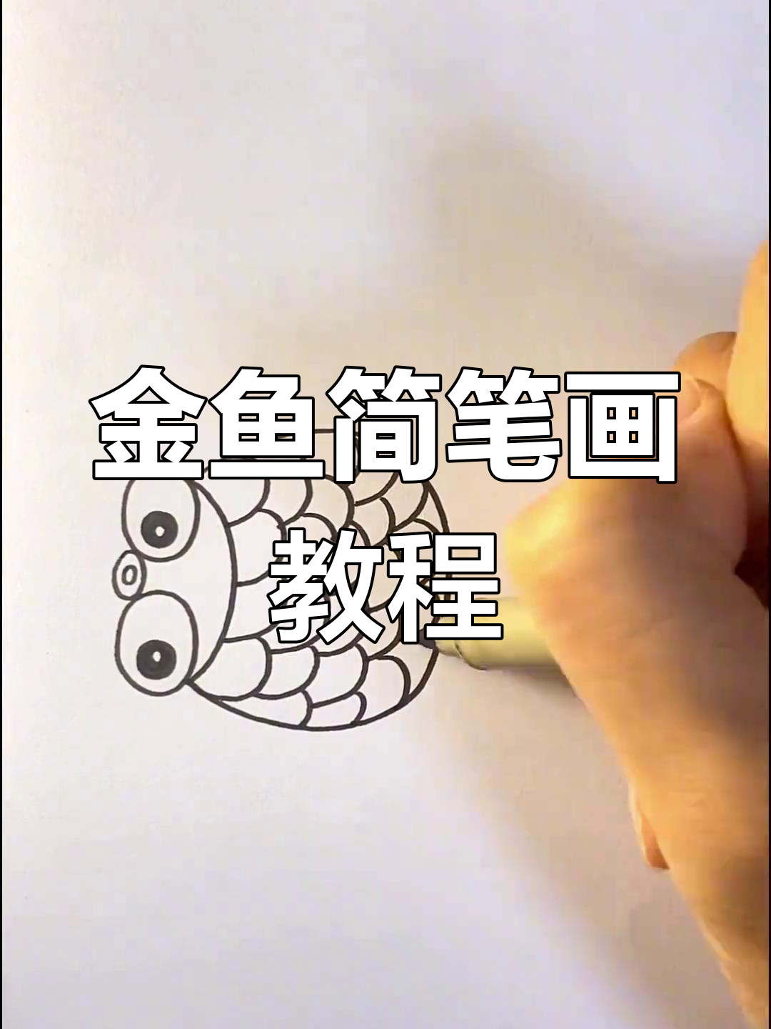 简单步骤教你画可爱金鱼，轻松学会治愈系画风