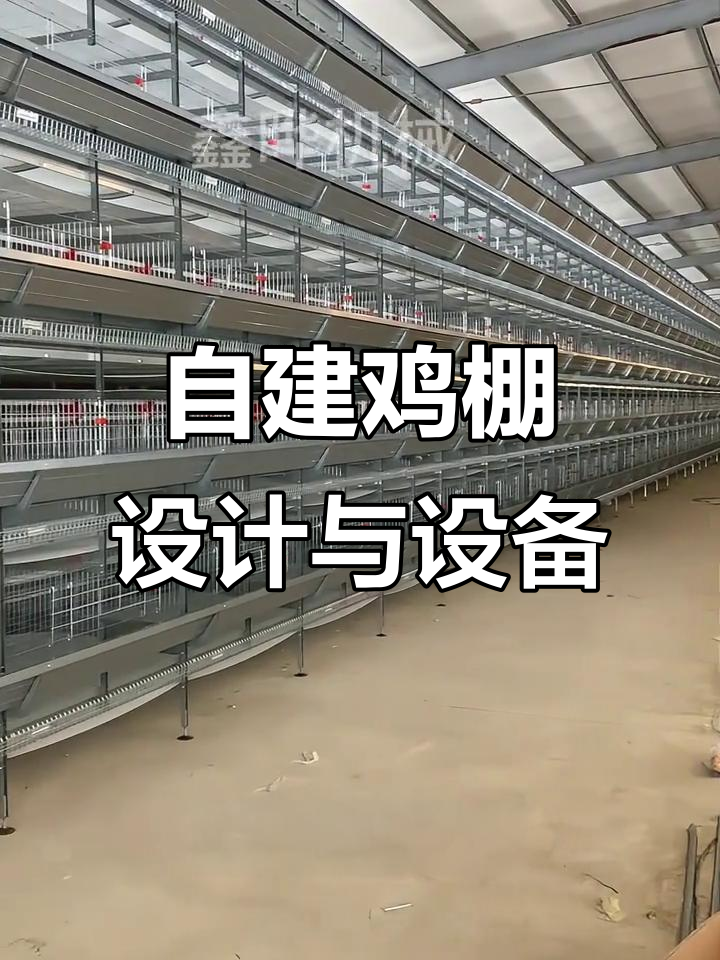 客户自建鸡棚,先建两列大层叠蛋鸡笼,后期如何设计?