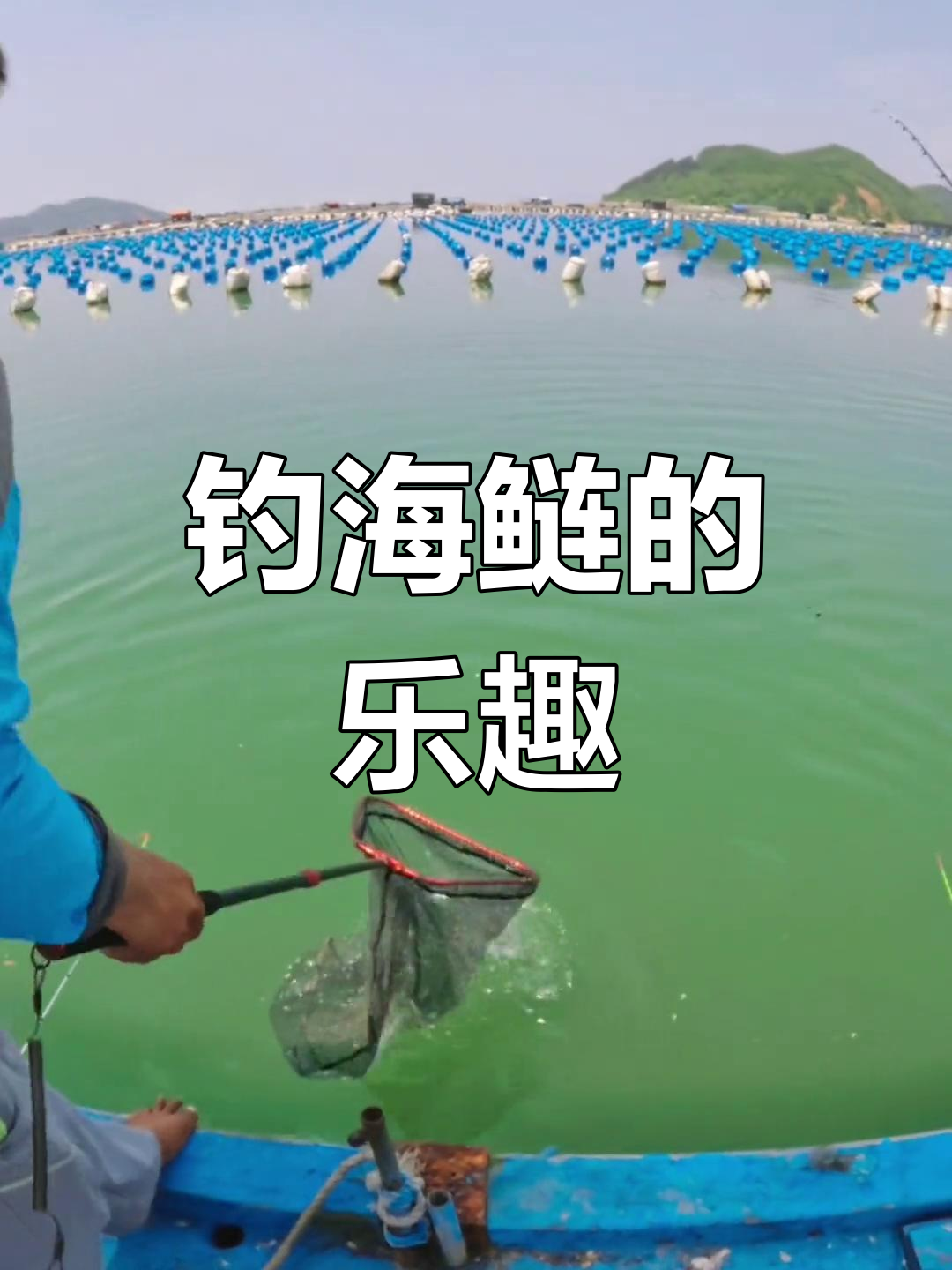 海鲢虽难吃,但钓鱼时的手感让人欲罢不能!