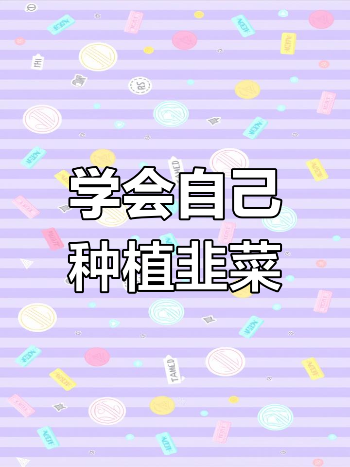 手把手教你种韭菜,轻松搞定根部修剪与促根技巧