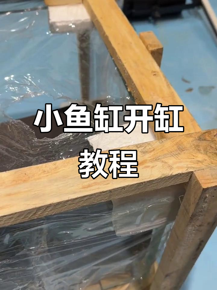 60×40×30小鱼缸开缸,周转箱过滤系统详解