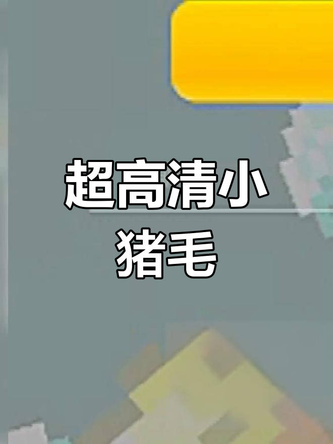 小猪毛画质超清,视角无敌!