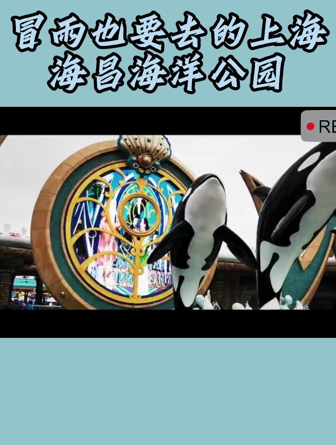 冒雨也要去的上海海昌海洋公园