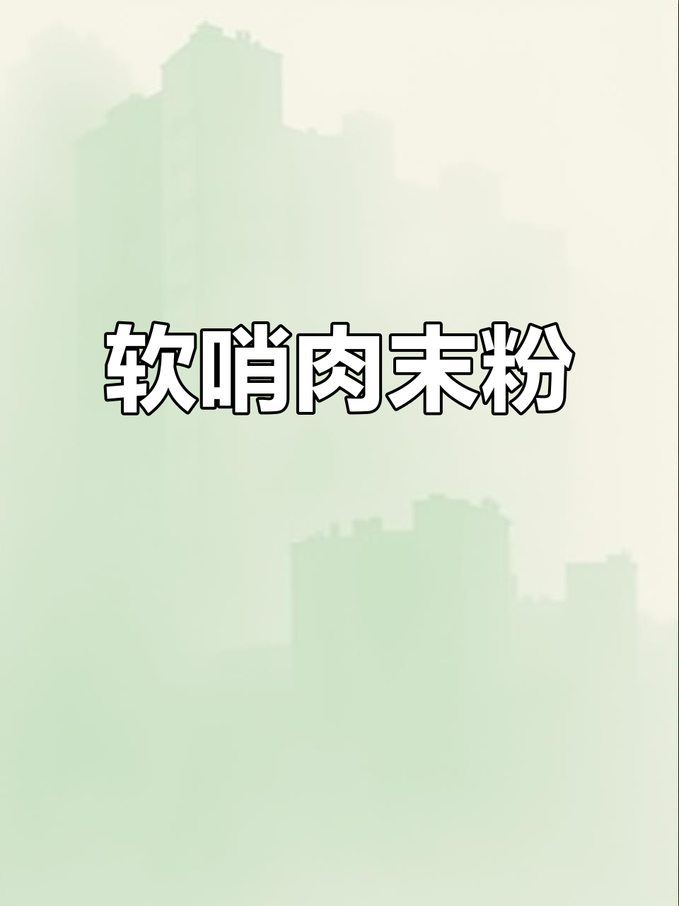贵阳早餐必试软哨肉末粉，酸辣口感让人停不下来