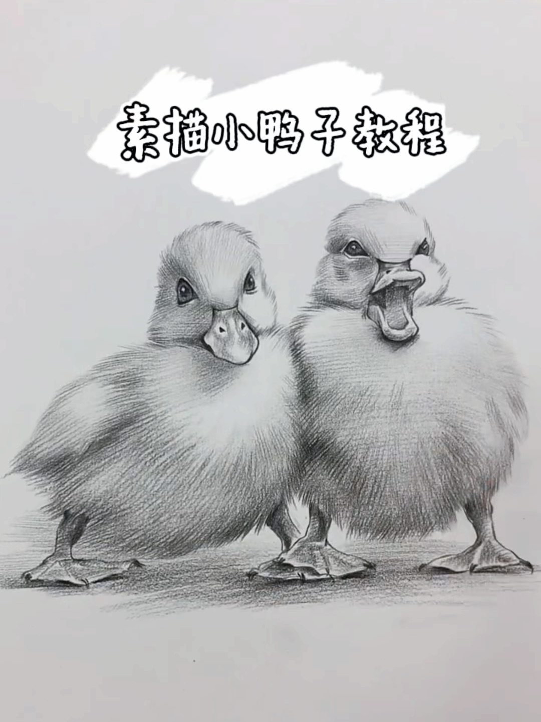 零基础也能学!简单易学的素描小鸭子