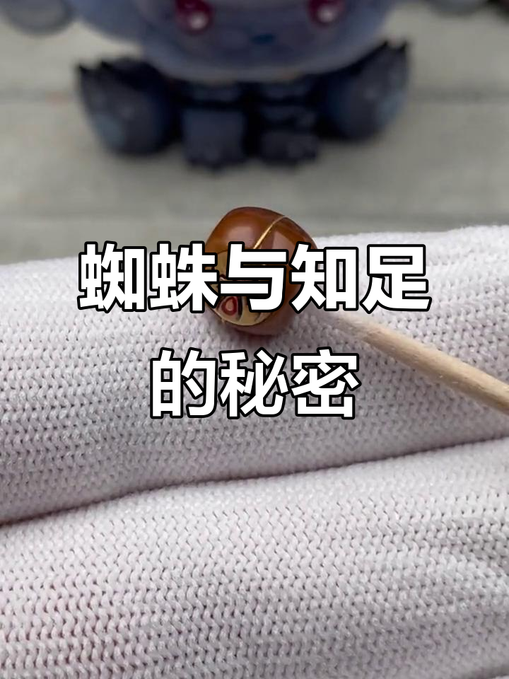 蜘蛛图腾寓意深,知足常乐好运连连