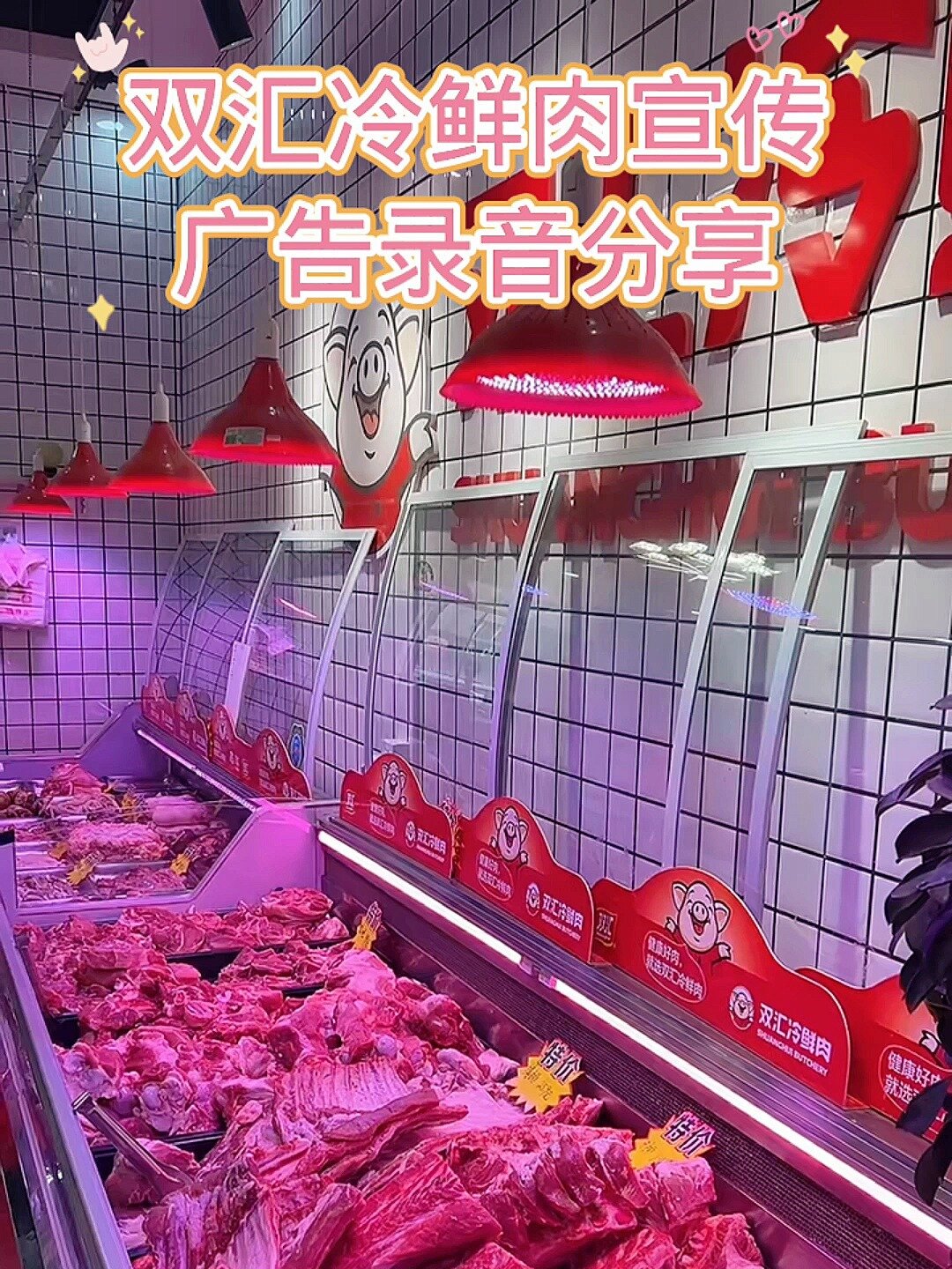 双汇冷鲜肉宣传广告录音分享