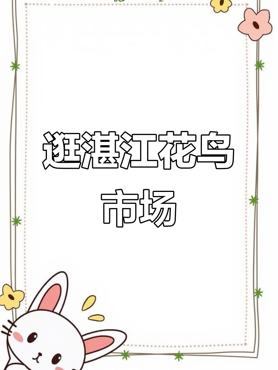 湛江花鸟鱼虫市场探秘,爆花街六娃圣地大揭秘