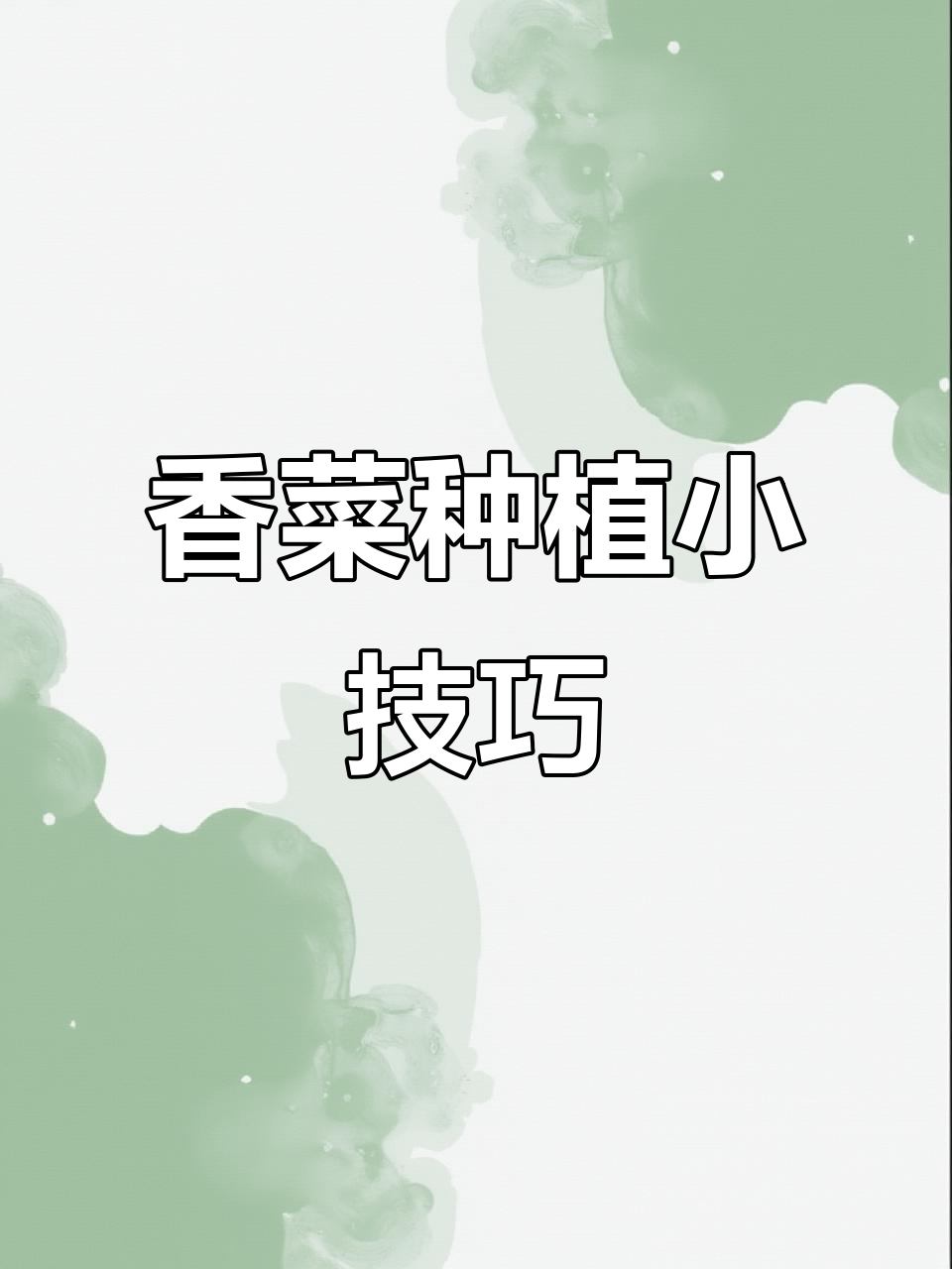 香菜快速发芽出苗的秘诀,教你两招搞定