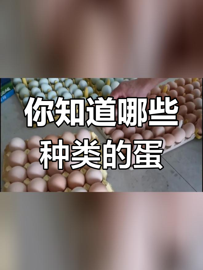广西鸡蛋种类大揭秘,你了解这些吗?